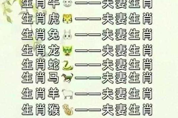 属相相冲的生肖配对不合分析