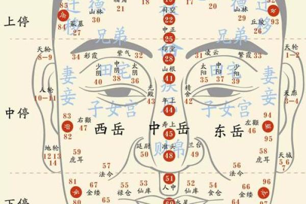 面相学真的准吗？分析面相判断的科学依据与迷信成分