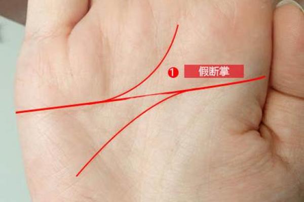 手相真的有依据吗？揭秘手相学的科学真相