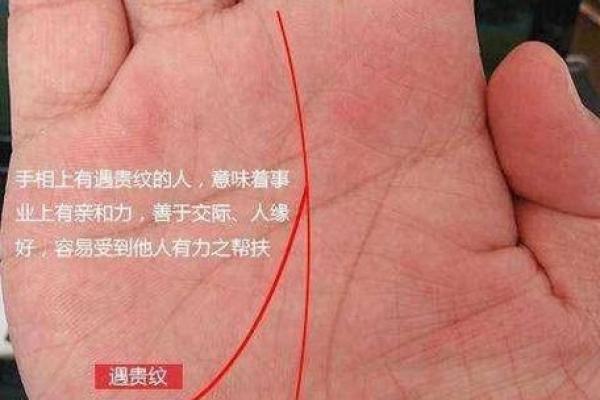 手相真的有依据吗？揭秘手相学的科学真相