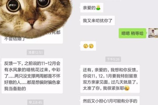 了解汉堡占星排盘，掌握未来走向的秘诀