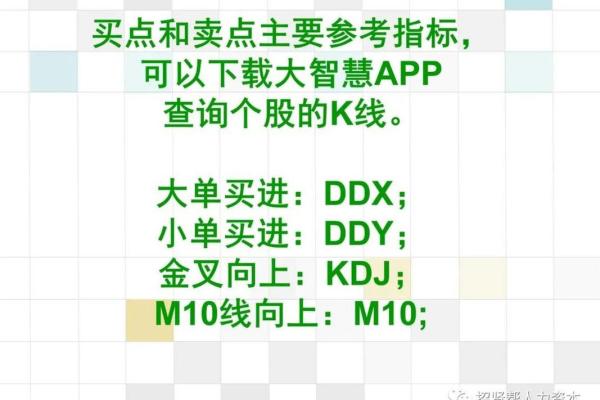 股票五行属性深度解析，破解市场运作规律