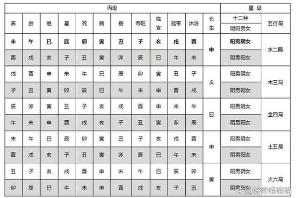 如何精准排盘？紫微斗数排盘次序详解