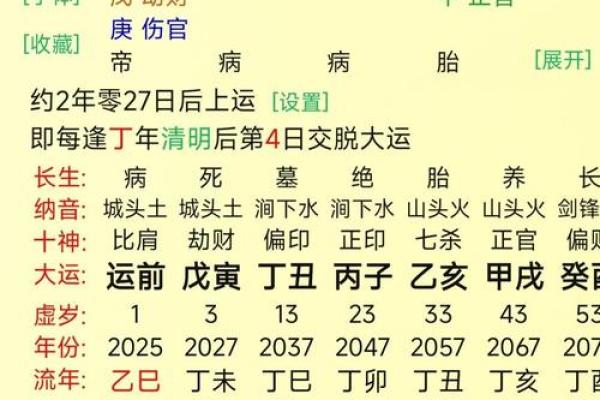 梅花易排盘软件揭秘命理奥秘，让你走在好运前沿