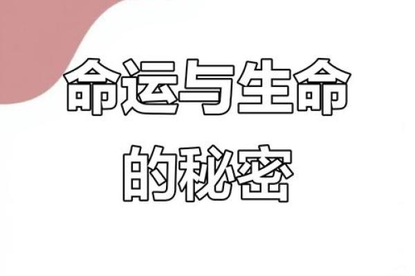 揭秘：特别命理，揭秘命运背后的惊人秘密