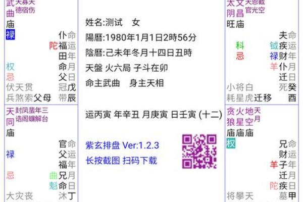 流月紫微命盘排盘技巧：让你一眼看穿未来运势变化