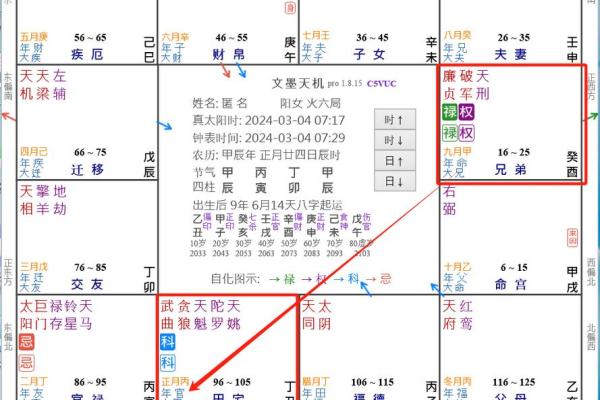 流月紫微命盘排盘技巧：让你一眼看穿未来运势变化
