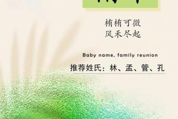 禾字起名，寓意深远，取个响亮名字让孩子未来更精彩