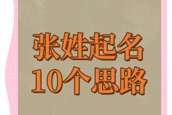 张姓女孩取名技巧，如何选一个独特又美丽的名字