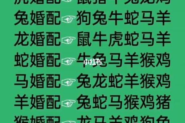 火爆生肖配对：属羊男VS女鸡，缘分天注定