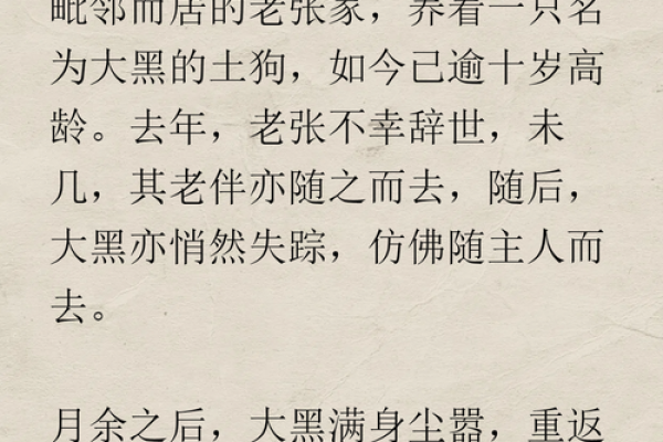 命不好，你中了几条？揭秘命不好的真正含义