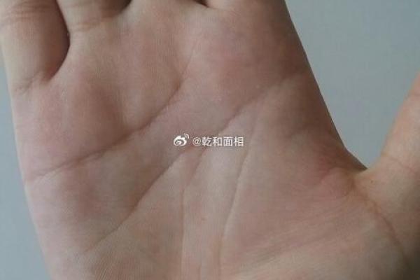 揭秘：智慧线长短之谜，短命还是长寿？手相揭秘，别再错过