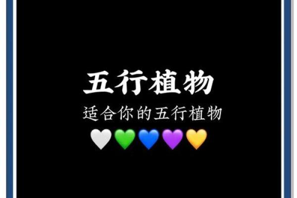 养花达人揭秘：五行中谁才是真正的绿植守护神？