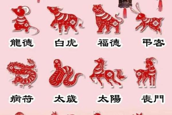 牛虎相配，能碰撞出怎样的火花？