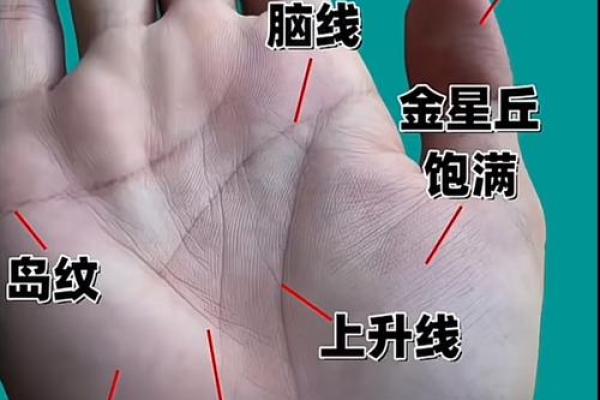 手相无斗，命运何其神秘揭秘手相奥秘，让你一眼看穿人生