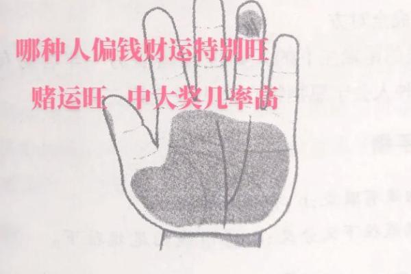 揭秘双手成功线：掌握运势，开启人生辉煌