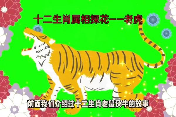 生肖神记：过目不忘的传奇记忆之旅