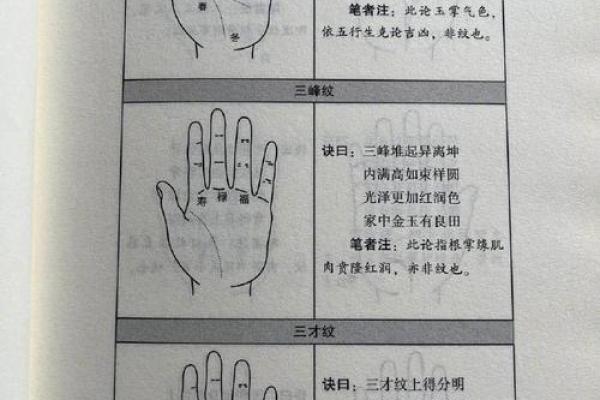 揭秘手相奥秘：一招看穿你的姊妹数量，手相达人必备