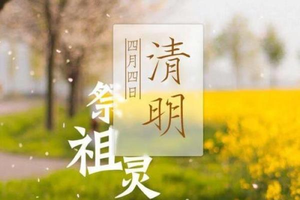 千年祭祀，清明风俗里的情感传承