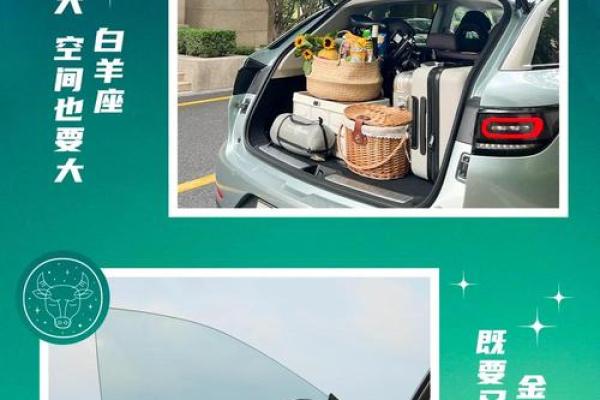 十二星座专属座驾：驾驭你的星座特质，开启速度与激情之旅