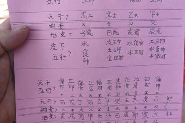乙天干地支：揭开命理奥秘，探索乙木的深层含义