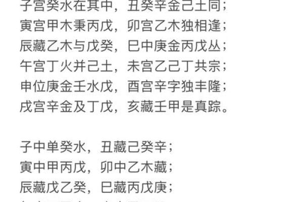 深入解析天干地支藏干表：易学必备宝典