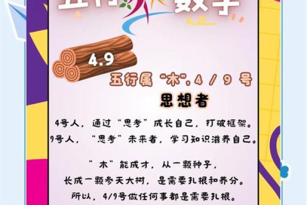 数字行属什么？揭秘五行与数字的神秘关联