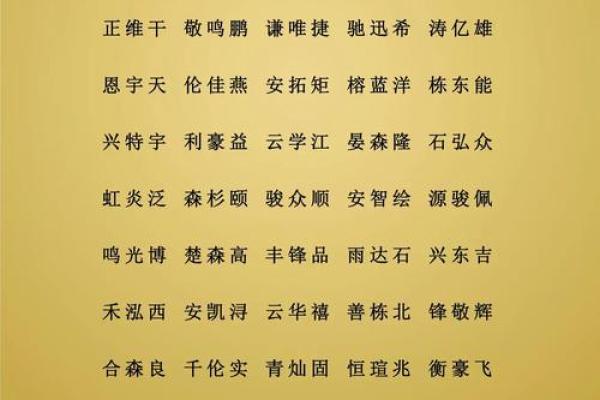 让人一听就记住的自然教育公司名字推荐