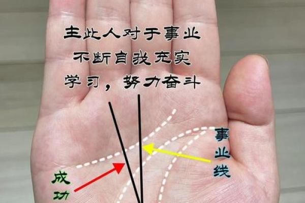 手相解码：揭秘女性如何通过手相预知孩子运势