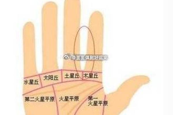 手相解码：揭秘女性如何通过手相预知孩子运势