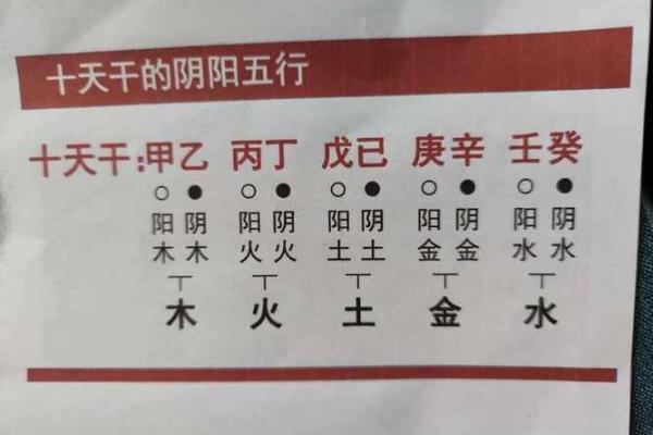 你知道大运天干合日主天干如何影响你的财运与健康吗？