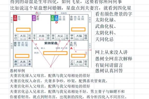 免费紫薇排盘：运势全解析！