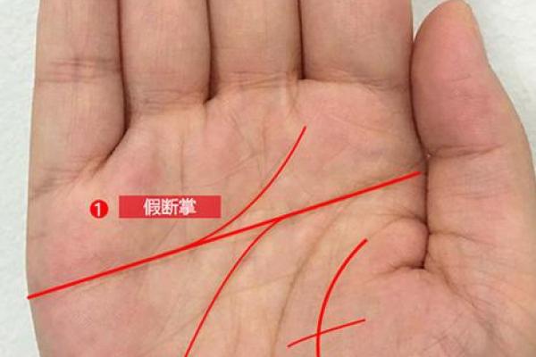 揭秘手相中的神秘贵人线：助你运势翻倍的秘密