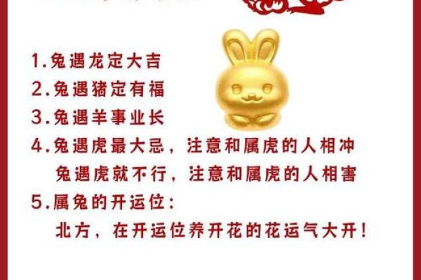 87年兔年运势：揭秘与你最合拍的属相组合