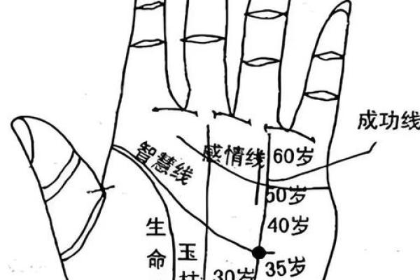 手相揭秘：斗的奥秘，揭示你命运的秘密