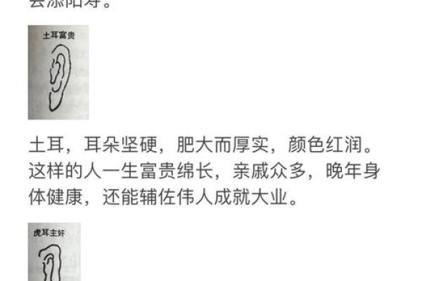 耳朵大福泽深，小耳聚财运势旺——揭秘小耳面相的秘密
