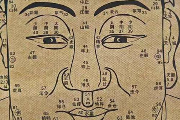 迎相有痣：痣相解析，揭秘命运之谜