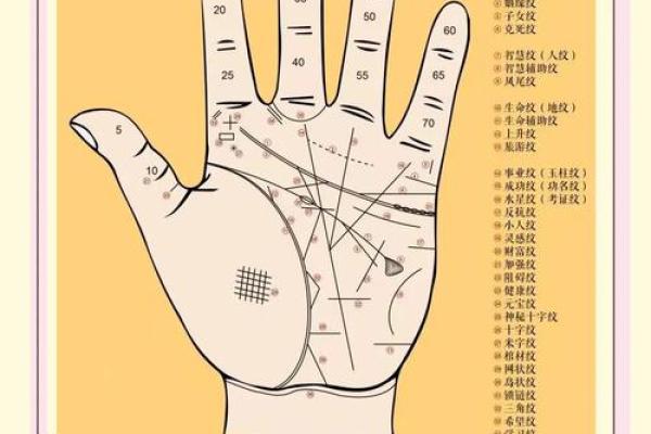 手相揭秘：离宫田米暗示你的财富命运