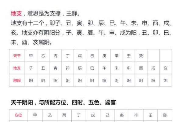 天干透出与天干通根解析，提升你对八字的理解