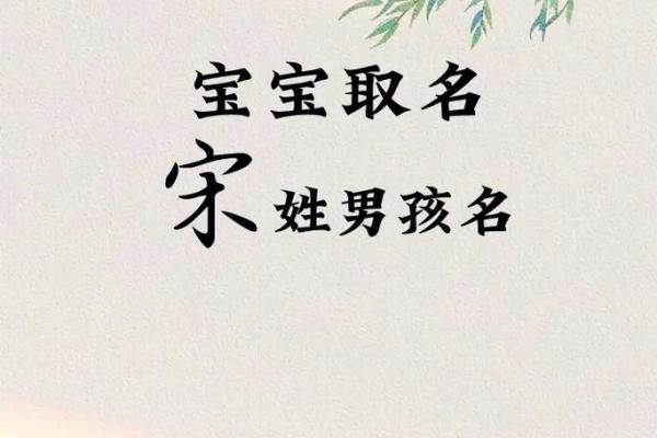 宋姓女孩起名秘籍，最受欢迎的名字推荐