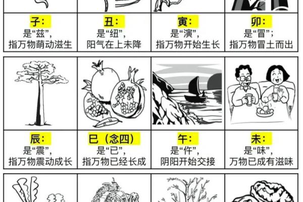时辰与天干的完美配对，你不知道的五大秘诀