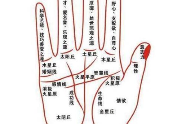 手相揭秘：一招看穿嫁娶远近，揭秘你的婚姻运势