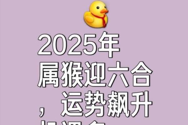 生肖足迹竞猜热潮，哪个是你的幸运印记？