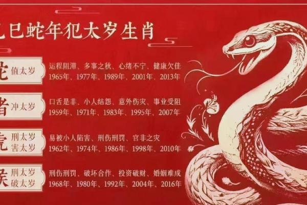 丑态百出，生肖揭秘
