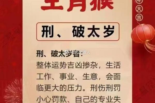 属猴岁是什么命？揭秘生肖猴晚年运势大揭秘