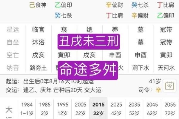 庚午己丑甲申乙丑命理深度解析