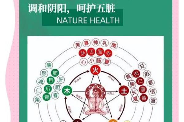宝宝五行查询：如何根据五行调和提升运势